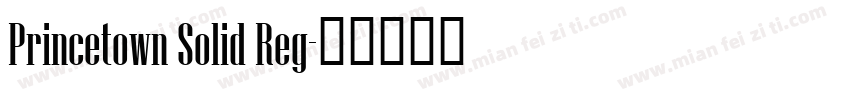 Princetown Solid Reg字体转换